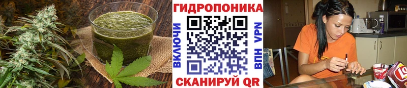 Печенье с ТГК конопля  omg сайт  Гдов 