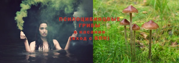 ешки Алексин