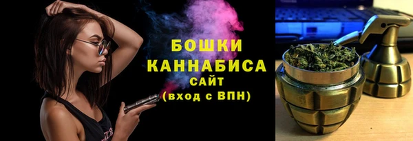 ешки Алексин