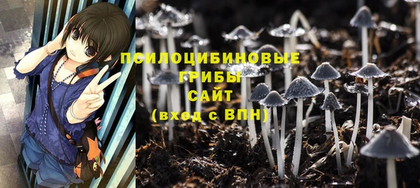 каннабис Алзамай