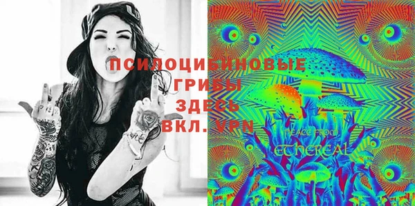 ешки Алексин