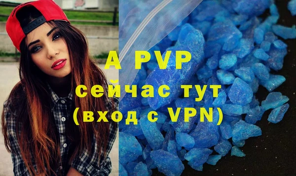 ешки Алексин
