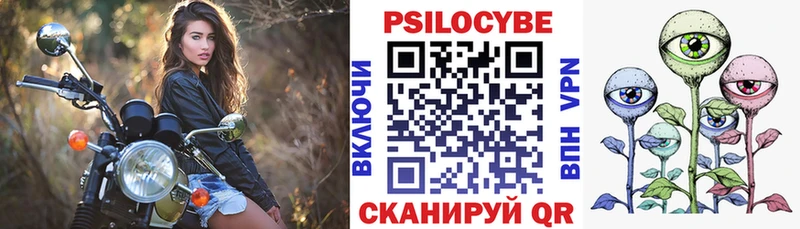 Псилоцибиновые грибы мицелий  даркнет сайт  Гдов 